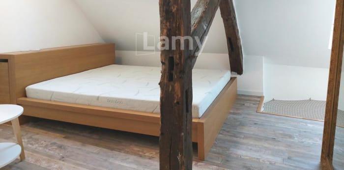 Image 5 sur 6 - Appartement  ·  Location · Olivet (45160) · 2 pièces · 50m²