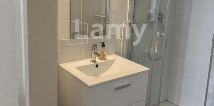 Image 4 sur 8 - Appartement  ·  Location · Lyon (69006) · 1 pièce · 32m²