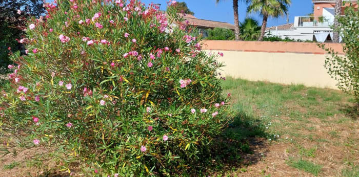 Image 11 sur 11 - Maison/villa  ·  Location · Cardet (30350) · 4 pièces · 89m²