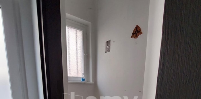Image 5 sur 5 - Local  ·  Location · Colmar (68000) · 46m²