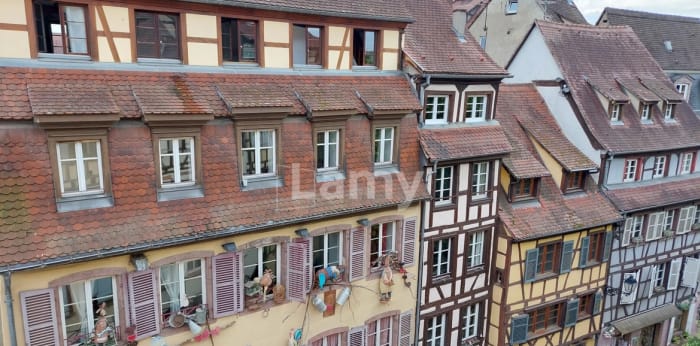 Image 5 sur 8 - Appartement  ·  Location · Colmar (68000) · 3 pièces · 57m²