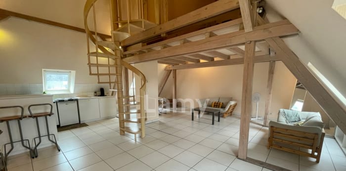 Image 3 sur 6 - Appartement  ·  Location · Strasbourg (67000) · 2 pièces · 55m²