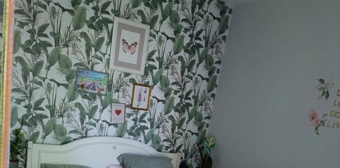 Image 2 sur 28 - Appartement  ·  Location · Colmar (68000) · 2 pièces · 53m²