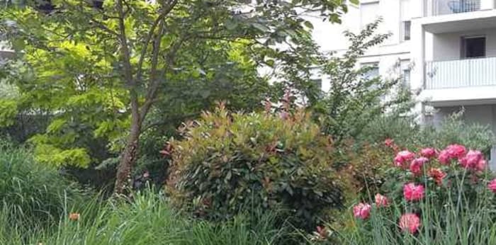 Image 5 sur 14 - Appartement  ·  Location · Lyon (69008) · 2 pièces · 47m²