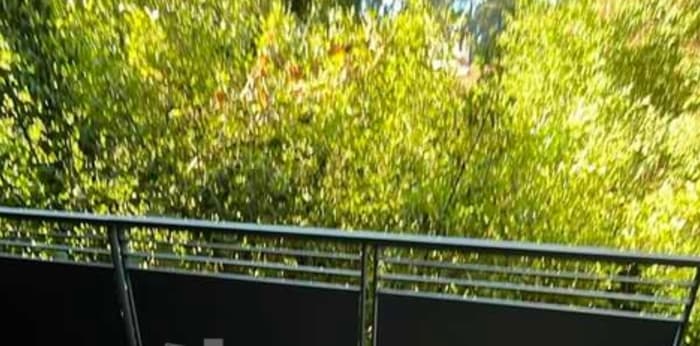 Image 3 sur 7 - Appartement  ·  Location · Caluire Et Cuire (69300) · 3 pièces · 71m²