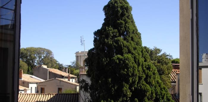 Image 3 sur 13 - Appartement  ·  Location · Montpellier (34000) · 1 pièce · 24m²