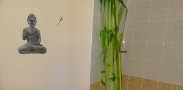 Image 8 sur 10 - Appartement  ·  Location · Besancon (25000) · 1 pièce · 26m²