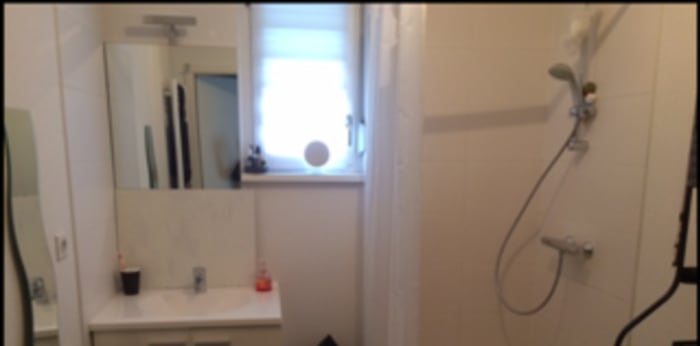 Image 6 sur 6 - Appartement  ·  Location · Bischwiller (67240) · 1 pièce · 30m²