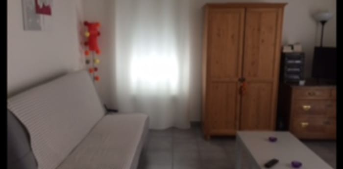 Image 3 sur 6 - Appartement  ·  Location · Bischwiller (67240) · 1 pièce · 30m²