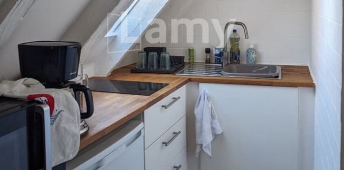 Image 4 sur 4 - Appartement  ·  Location · Strasbourg (67000) · 1 pièce · 21m²
