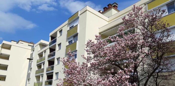 Image 3 sur 5 - Appartement  ·  Location · Besancon (25000) · 1 pièce · 28m²