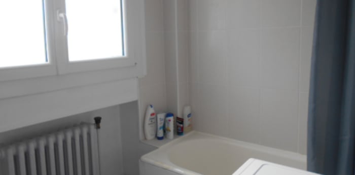Image 4 sur 9 - Appartement  ·  Location · Montargis (45200) · 2 pièces · 53m²