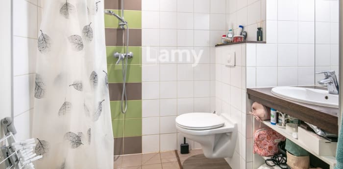 Image 13 sur 22 - Appartement  ·  Vente · Grenoble (38100) · 1 pièce · 21m²