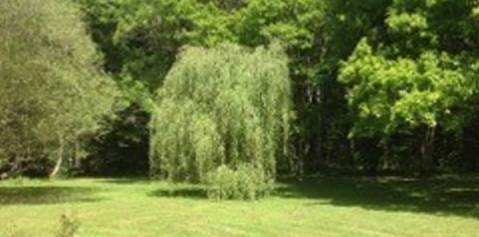 Image 28 sur 28 - Maison/villa  ·  Vente · Diges (89240) · 7 pièces · 300m²