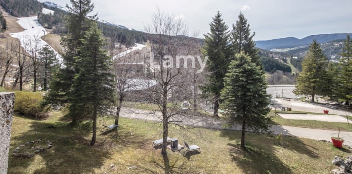 Image 10 sur 13 - Appartement  ·  Vente · Villard De Lans (38250) · 1 pièce · 25m²