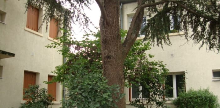 Image 1 sur 5 - Appartement  ·  Vente · La Rochelle (17000) · 2 pièces · 36m²