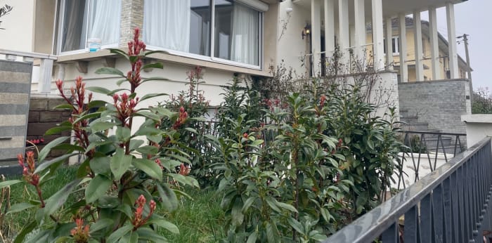 Image 3 sur 10 - Maison/villa  ·  Vente · Oberhausbergen (67205) · 10 pièces · 361m²