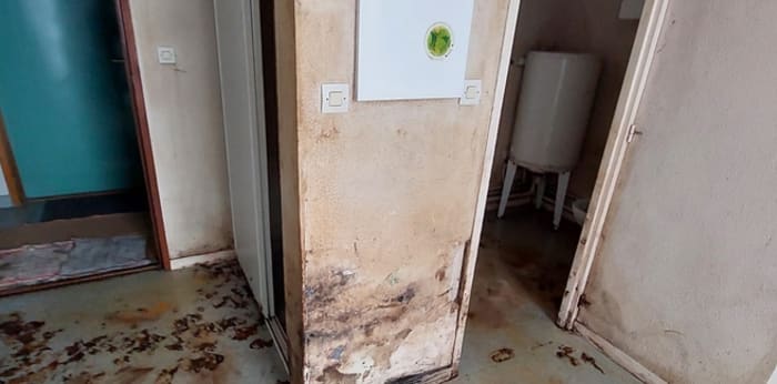 Image 3 sur 5 - Appartement  ·  Vente · Bussy St Georges (77600) · 1 pièce · 19m²