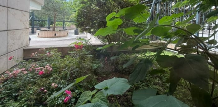 Image 6 sur 6 - Appartement  ·  Vente · Paris (75019) · 3 pièces · 75m²