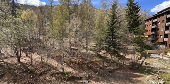 Image 2 sur 15 - Appartement  ·  Vente · Allos (04260) · 3 pièces · 44m²