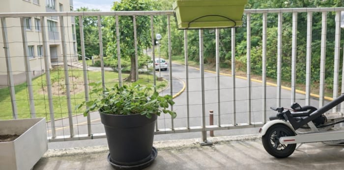 Image 1 sur 8 - Appartement  ·  Vente · Viroflay (78220) · 1 pièce · 33m²