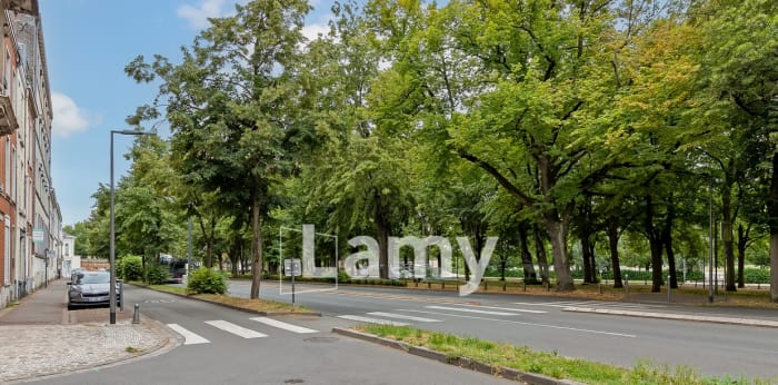 Image 2 sur 8 - Appartement  ·  Vente · Lille (59800) · 1 pièce · 24m²