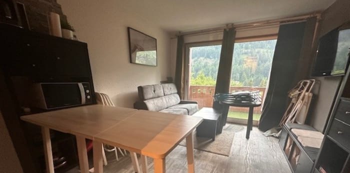 Image 1 sur 9 - Appartement  ·  Vente · Allos (04260) · 1 pièce · 24m²