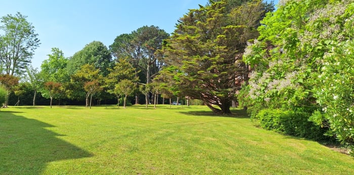 Image 2 sur 8 - Appartement  ·  Vente · Biarritz (64200) · 2 pièces · 44m²