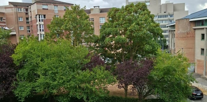 Image 3 sur 3 - Appartement  ·  Vente · Lille (59000) · 1 pièce · 18m²