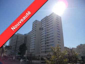 Image 1 - Appartement · Lyon (69007) · 1 pièce · 40m²