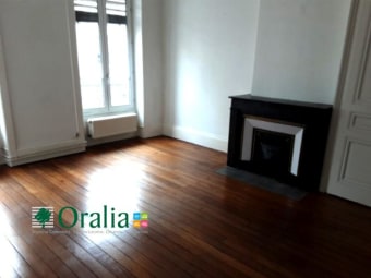 Image 1 - Appartement · Lyon (69007) · 1 pièce · 47m²