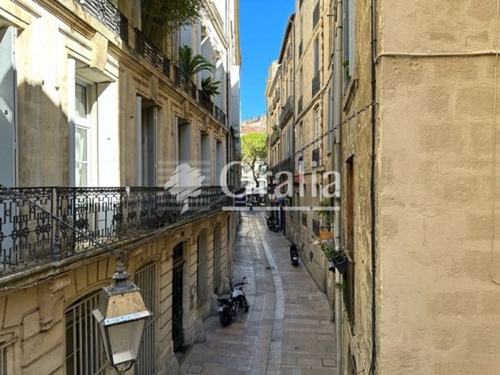 Image 8 sur 9 - Appartement  ·  Location · Montpellier (34000) · 4 pièces · 136m²