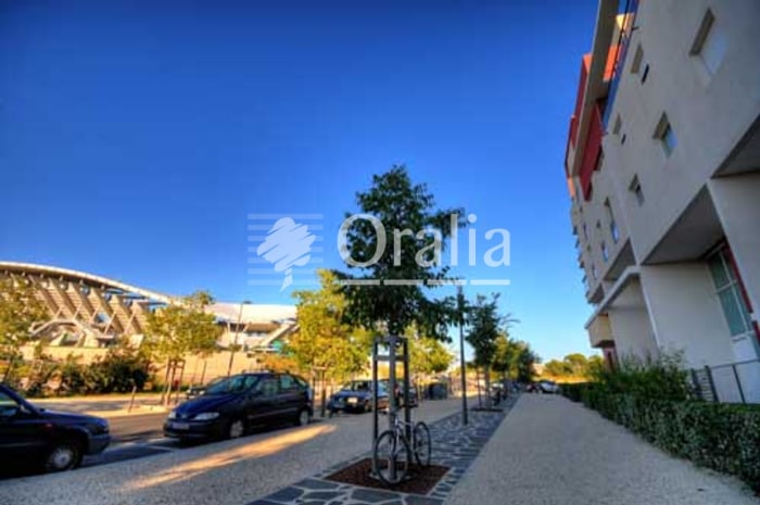 Image 12 sur 13 - Appartement  ·  Location · Montpellier (34070) · 2 pièces · 47m²