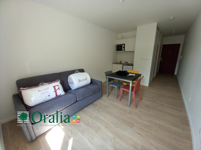 Image 3 sur 8 - Appartement  ·  Location · Dijon (21000) · 1 pièce · 22m²
