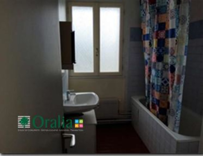 Image 2 sur 3 - Appartement  ·  Location · Villeurbanne (69100) · 2 pièces · 53m²