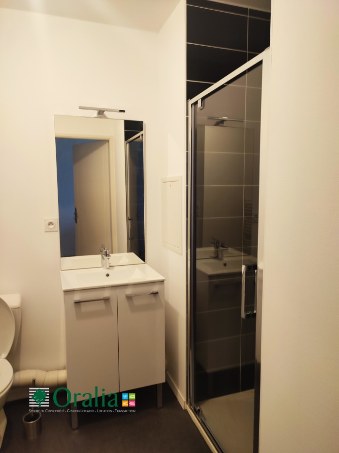 Image 4 sur 6 - Appartement  ·  Location · Dijon (21000) · 1 pièce · 22m²