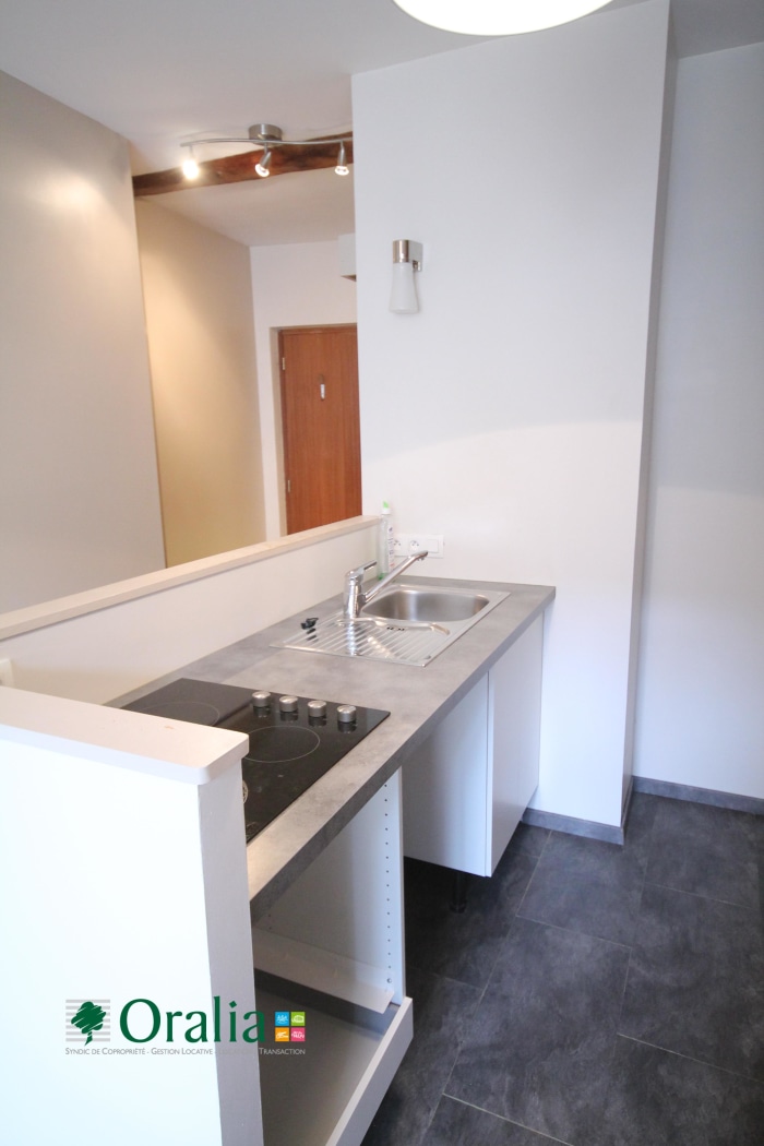 Image 3 sur 12 - Appartement  ·  Location · Grenoble (38000) · 1 pièce · 31m²
