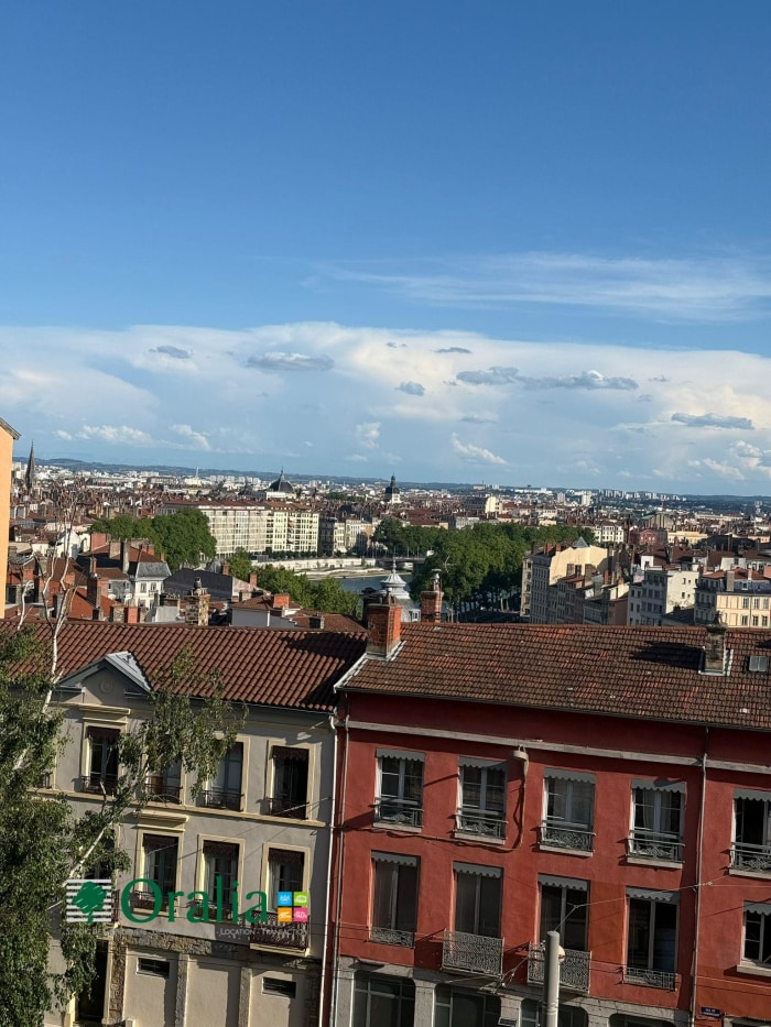 Image 2 sur 11 - Appartement  ·  Location · Lyon (69001) · 1 pièce · 30m²