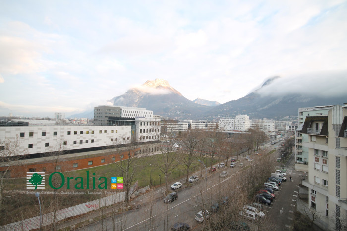 Image 11 sur 12 - Appartement  ·  Location · Grenoble (38000) · 1 pièce · 33m²