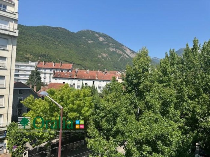 Image 11 sur 13 - Appartement  ·  Location · Grenoble (38000) · 2 pièces · 48m²