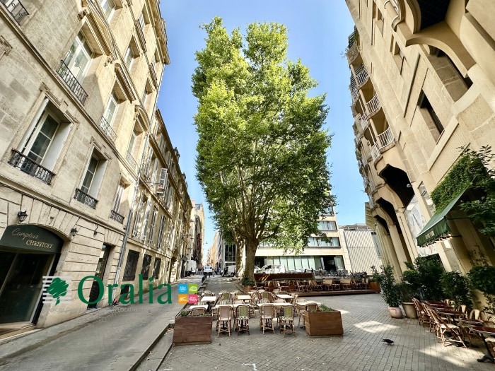 Image 16 sur 17 - Appartement  ·  Location · Bordeaux (33000) · 2 pièces · 46m²