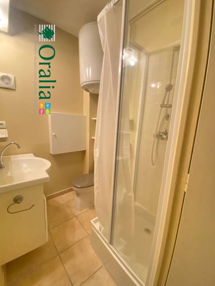 Image 5 sur 6 - Appartement  ·  Location · Grenoble (38000) · 1 pièce · 29m²