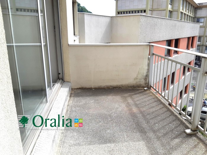 Image 7 sur 8 - Appartement  ·  Location · Grenoble (38000) · 1 pièce · 33m²