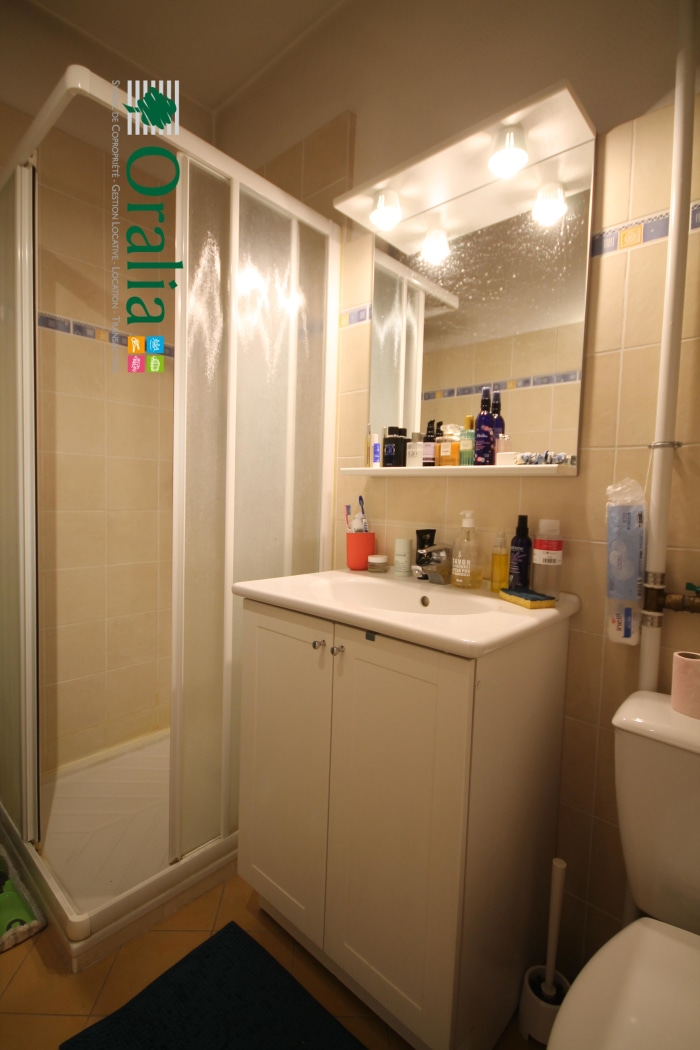 Image 6 sur 6 - Appartement  ·  Location · Grenoble (38000) · 1 pièce · 21m²