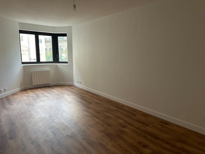 Image 3 sur 13 - Appartement  ·  Location · Grenoble (38000) · 1 pièce · 33m²