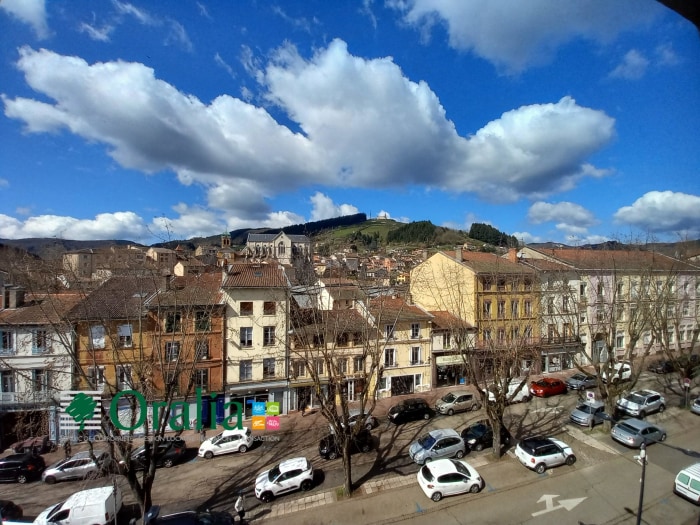 Image 8 sur 8 - Appartement  ·  Location · Tarare (69170) · 3 pièces · 71m²