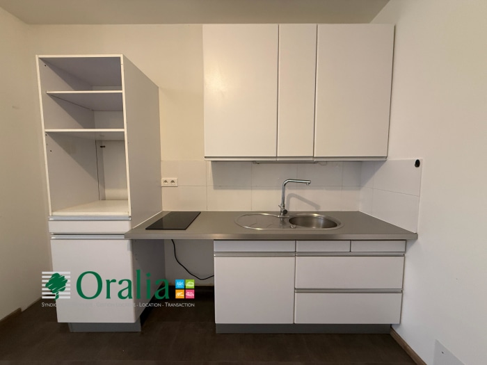 Image 1 sur 11 - Appartement  ·  Location · Tarare (69170) · 2 pièces · 49m²