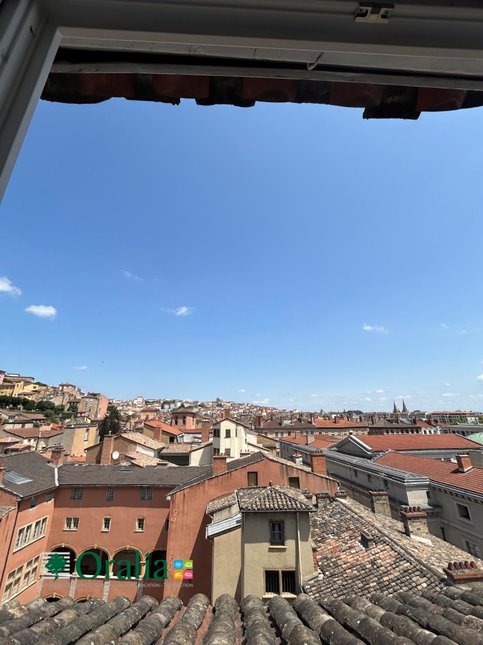 Image 5 sur 7 - Appartement  ·  Location · Lyon (69005) · 1 pièce · 13m²