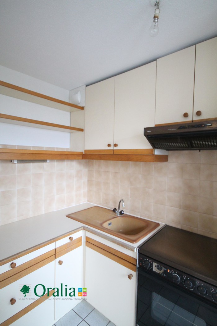 Image 6 sur 12 - Appartement  ·  Location · Grenoble (38000) · 1 pièce · 33m²