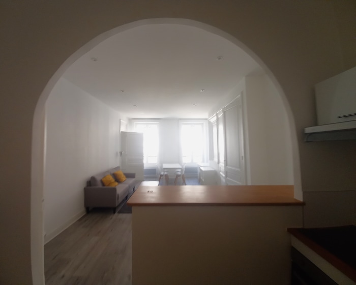 Image 12 sur 15 - Appartement  ·  Location · Lyon 07 (69007) · 2 pièces · 48m²